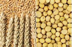 Manufacturers Turkey